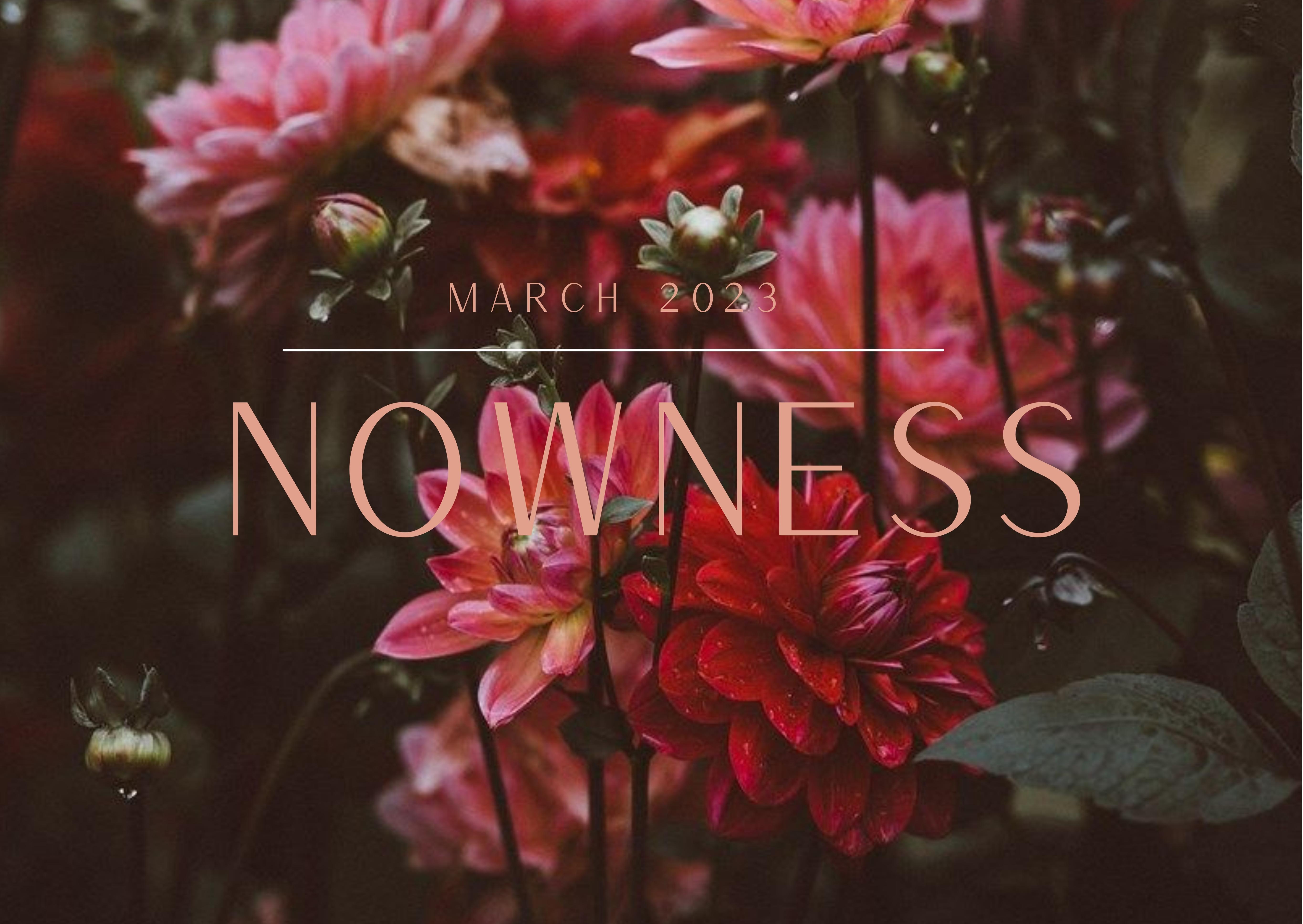 Nowness Opener